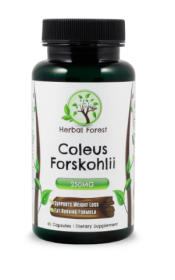 Coleus Forskohlii
